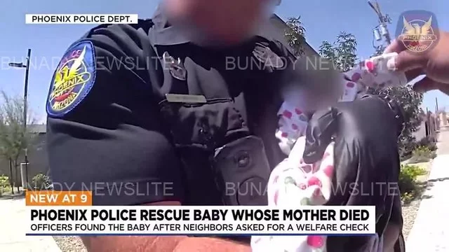 20250628020546_1117290412_6318512209294316435_640_360_85_webp