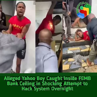 20250702073009_438070462_4418028754022919951_320_320_85_webp