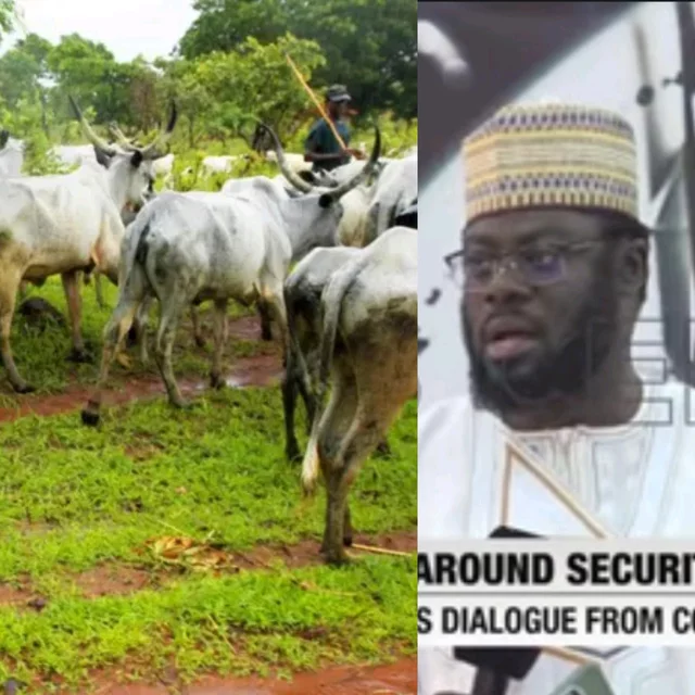 20250822133047_1850582918_4613232907180097061_640_640_85_webp