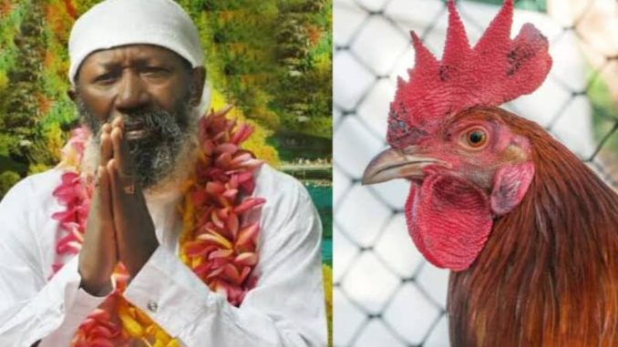 IMG-20250824-WA0002-678×381