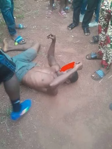 20250928161914_1209587330_1115514963744397375_387_516_85_webp