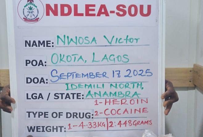 IMG-20250928-WA0216-659×445