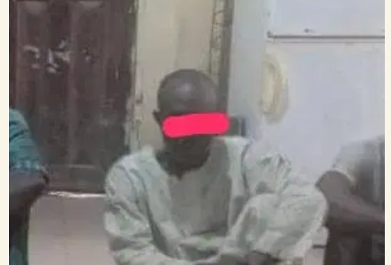 Screenshot_20250911-185914-562×381