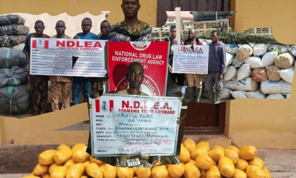 Photoleap_19_10_2025_22_53_21_ympb4-1000×600