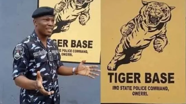 20251214151427_2047264444_196719457328309904_640_358_85_webp