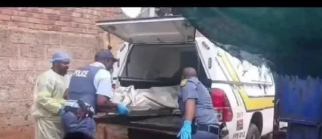 20260113053415_43196563_5859914107100039337_640_276_85_webp