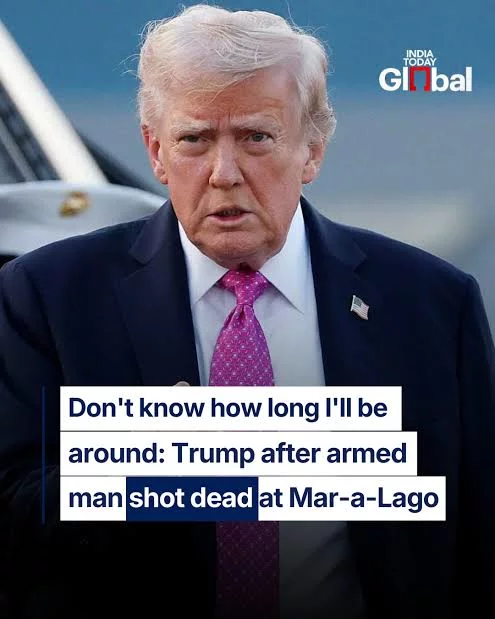 20260302145052_1886528947_6452557632369505374_495_619_85_webp