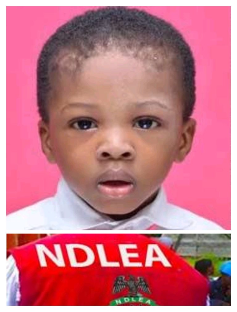 IMG_20260312_091420-768×1013