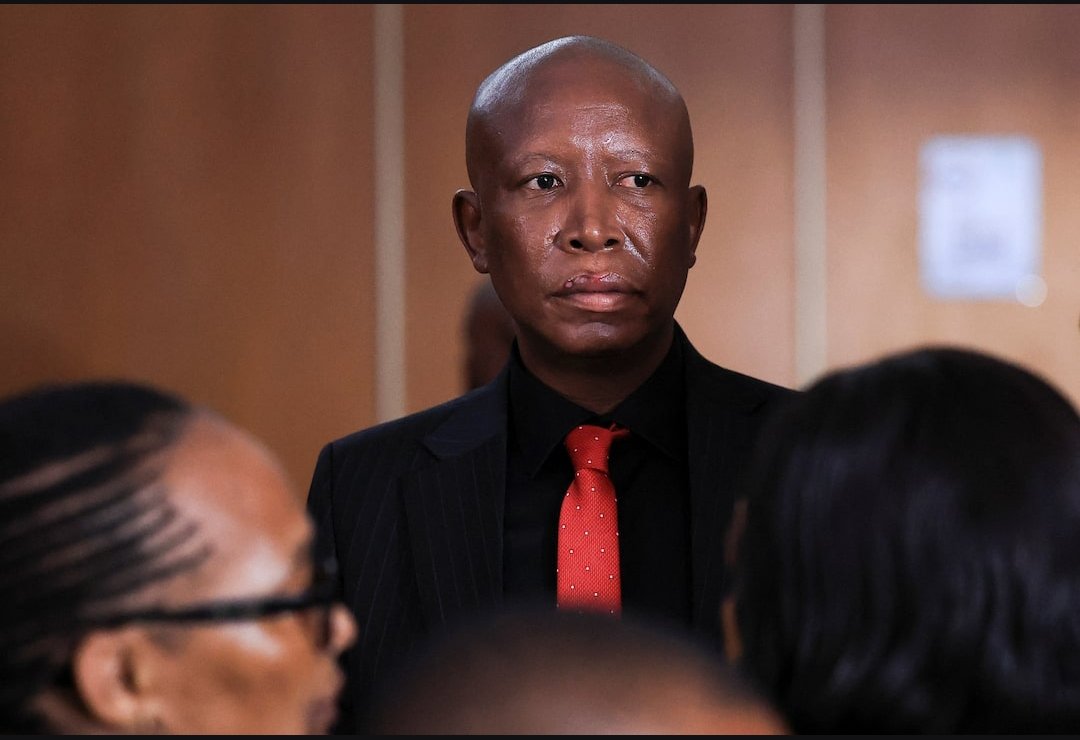 Court Jails Julius Malema for 5 Years, Declares Him Unfit to Own Firearms.