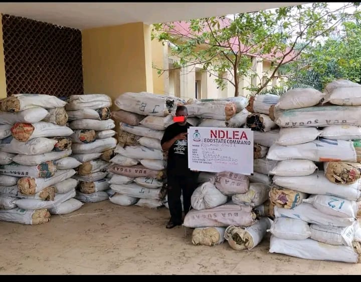 NDLEA Uncovers Cocaine In Palm Kernel Oil Cans, Arrests Suspects.